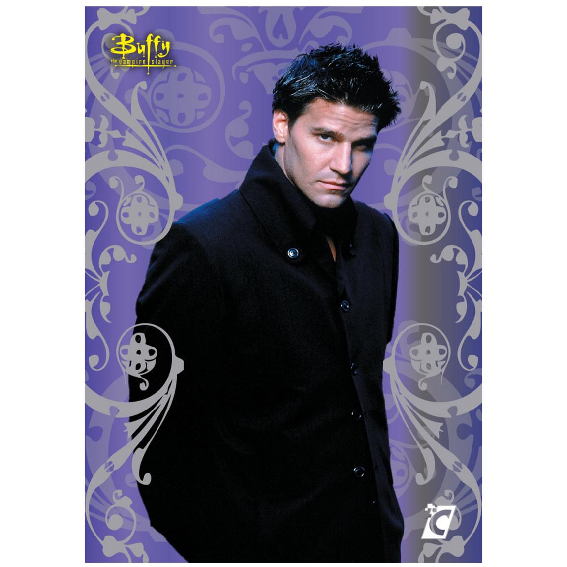 Buffy the Vampire Slayer Collector Box