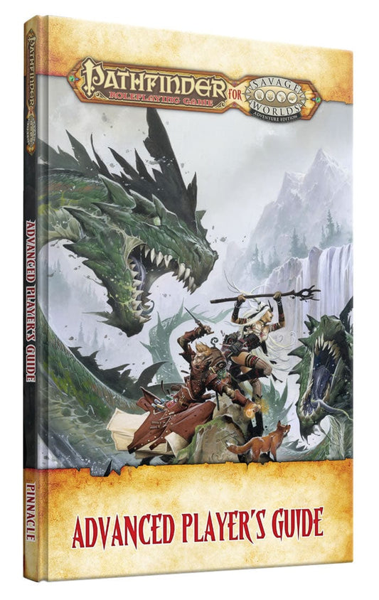 Pathfinder: Advanced Player's Guide